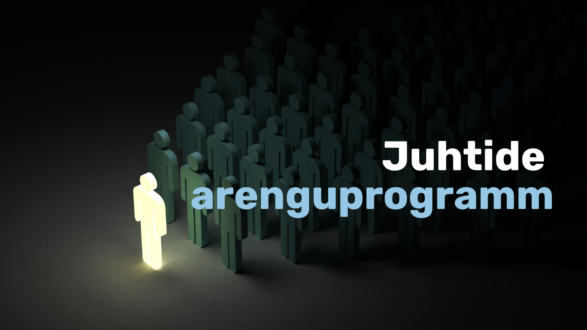 Juhtide arenguprogramm